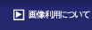 �摜���p�ɂ���