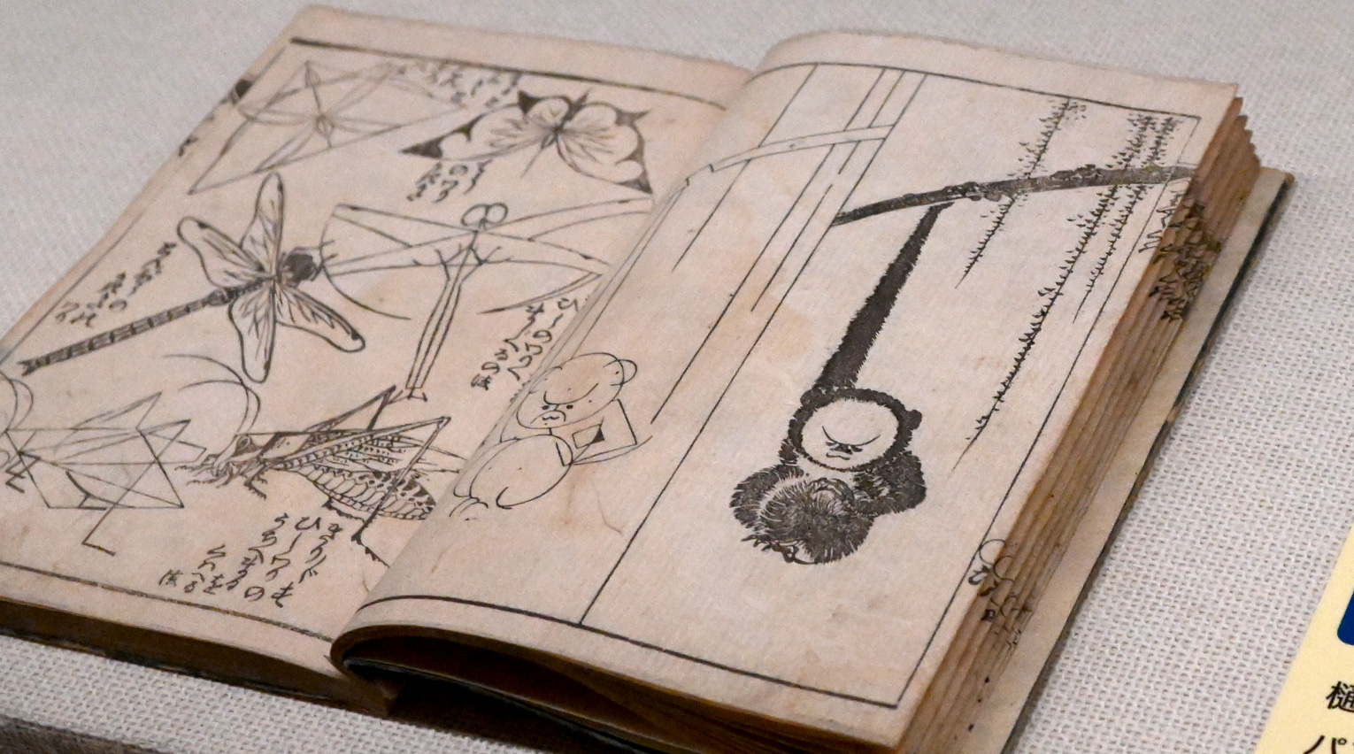 北斎が教えてくれる、描く喜び、見る楽しみ　すみだ北斎美術館「ひらけ、絵手本！『北斎漫画』エトセトラ」展レポート